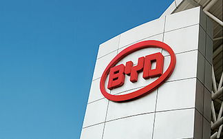 南隼互动 深圳网站设计与建设专家，赋能企业数字化品牌与电子产品营销